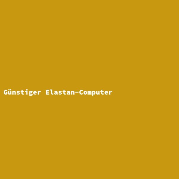 G&uuml;nstiger Elastan-Computer